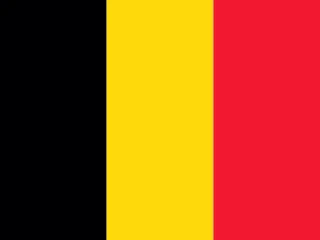 Belgium flag, representative of Flemish