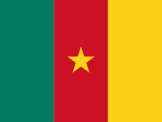 Cameroon flag, representative of Pidgin Cameroonian