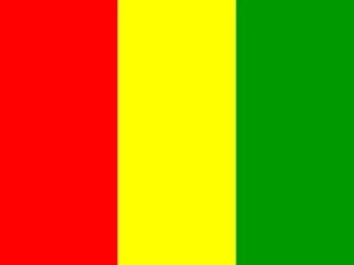 Guinea flag, representative of Malinke