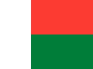 Madagascar flag, representative of Malagasy