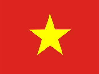 Vietnam flag, representative of Vietnamese